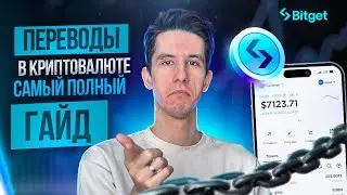 Крипта для новичков: полный гайд как пользоваться крипто кошельком