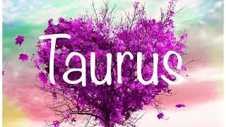 TAURUS: A reconciliation with a soulmate! This is your person, Taurus 💜