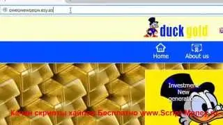 Hype script Investments in Scrooge McDuck bank software