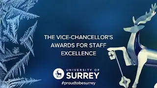 The Vice-Chancellor’s Awards for Staff Excellence 2025 | University of Surrey