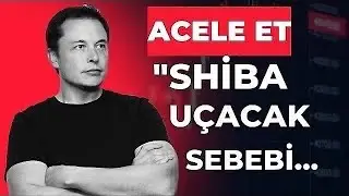 SHİBA COİN'DE SABREDEN KAZANACAK.SHİBA COİN FİYAT HEDEFİ.