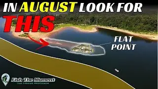 Stop Missing These OBVIOUS August Fishing Areas | 2 Hours of Uncut Offshore Bass Fishing