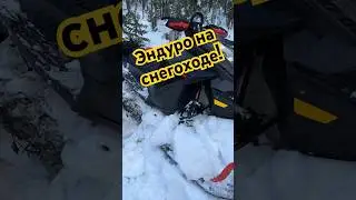А ты так делал!??? Эндуро на снегоходе brp 