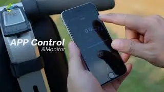 Eswing patented Segway scooter. You can contact me or visit our Alibaba store if you are interested.