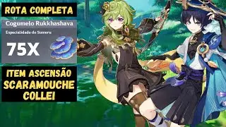 ROTA DE COGUMELO RUKKHASHAVA - PEGUE ATÉ 75 - ITEM ASCENSÃO SCARAMOUCHE E COLLEI - [GENSHIN IMPACT]