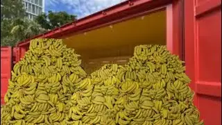 Eating 200 bananas! (200 sub special)