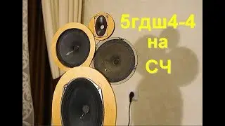 Пара 5гдш4 на СЧ.