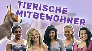 Die Mädchen-WG auf Mallorca | Folge 1