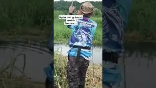 jajal spot baru