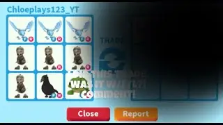 I did this trade. Was it W/F/L?! Comment down below!