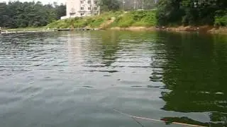 Hera Rod 8.5' bamboo