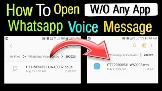 How to open Whatsapp Voice Notes from file manager without  any app.
