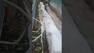 тепло и уютно 