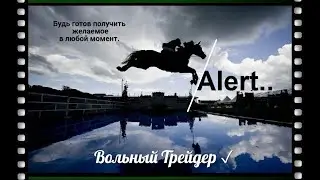 Индивидуальные звуки торгуемых валютных пар. Установка Алерта.
