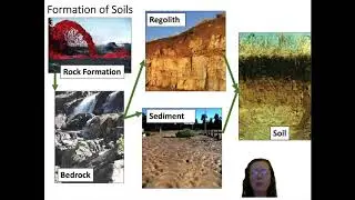 What are soils? (Week 4, Lecture 1)