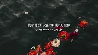 Kaution - ed / 和訳