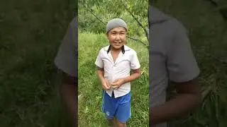 Babnik bola