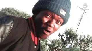 24h[420 snippet]_FLACCA_MOL_5533..HsG