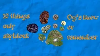 10 things only hypixel skyblock OG's remember (99% fail)
