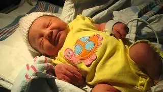 Newborn Callie