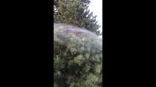 Эй городские 😉А у нас деревня, свежий воздух 👍Shorts