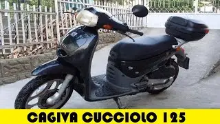 Cagiva Cucciolo 125 - Engine and Differential Oil Change ( Ganti Oli Mesin, Gardan ) 