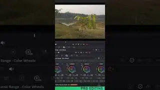 Mobile Video Colour Grading | Mobile Video Shooting Techniques | #shortvideo #shorts #hindi