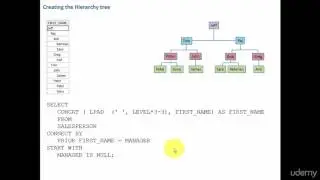 007 Creating the Hierarchy Tree