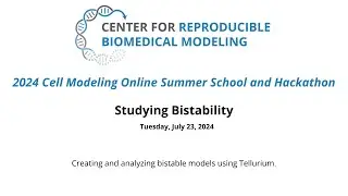 2024 Summer School & Hackathon - Day 2.4 - Studying Bistability