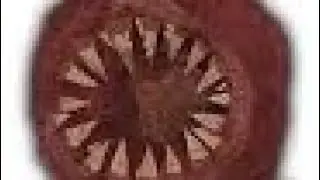 a minute and a half of the Figure getting stuck
