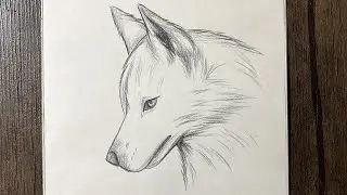how to draw a wolf | easy pencil drawing idea for beginners step by step | animal sketch | draw wolf