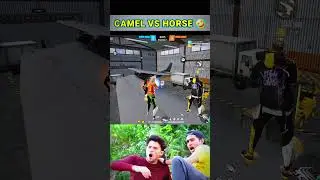 New Emote prank Camel Vs Horse 😝 - Garena free fire Max 