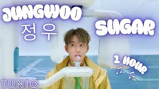 JUNGWOO (정우) - SUGAR 💛 1 HOUR EDIT 💛 LONG LOOP VERSION 💛