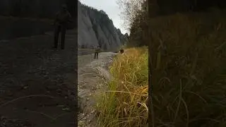С юмором всё 👌
