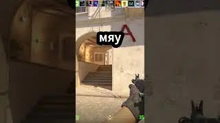 красивые еврейские движения #funny #csgo #cs2 #games #игры #gaming #memes #кс2 #весело #игра #шутки