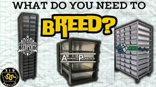 Avoid These Mistakes: Ball Python Rack Comparison