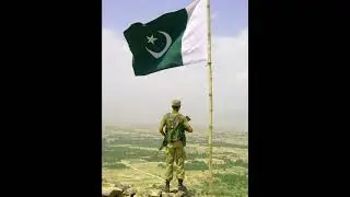 #pakistan #pakistani #zindabad #14august #independence #love #shorts #viral