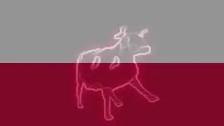 Польская корова, но завокоден на Гимн Польши