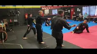 Kenpo Karate Similar Techniques - Jamie Seabrook Seminar