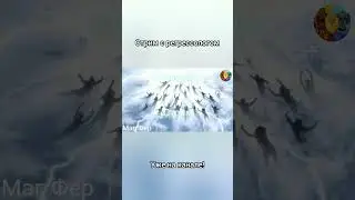 Стрим с регрессологом. Ч.2