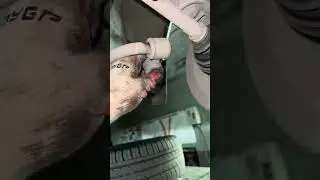 Функция мячик 👍