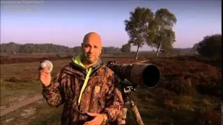 Natuurfotografie - Cursus
