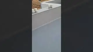 Untitled video