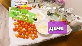 Дача под маарду #5. Что уже сделано на даче.