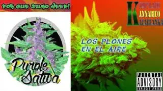 Por Que Fumo Weed - Purple Sativa