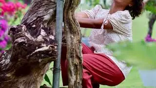 लीला और बग़ीचे की दयालुता