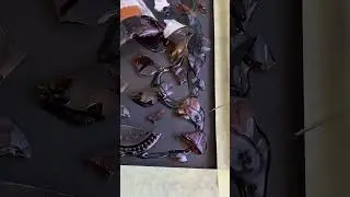 Shardcraft_ / Broken bottle / Epoxy