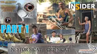 PIGEON INSIDER | CRIS SICAT LOFT PART 1