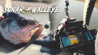 Sonar Tips and Walleye Plastics