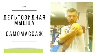 ДЕЛЬТОВИДНАЯ МЫШЦА. Анатомия. Самомассаж. Прокачка мышцы. SPINE KINETIC